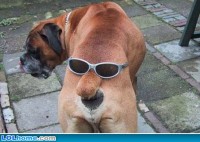 /album/galeria-de-fotos/funny-picture-1475818506-jpg/